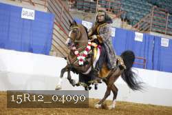 15R12_04090 thumbnail