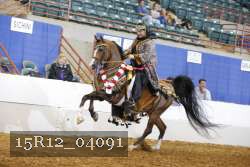 15R12_04091 thumbnail