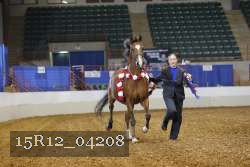15R12_04208 thumbnail