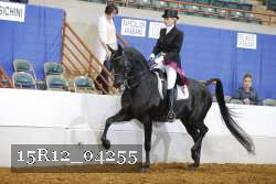 15R12_04255 thumbnail