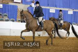 15R12_04364 thumbnail