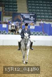 15R12_04480 thumbnail