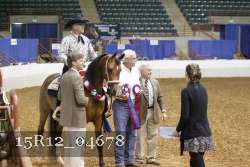 15R12_04678 thumbnail