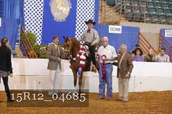 15R12_04685 thumbnail