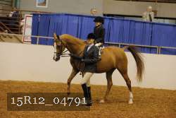 15R12_04791 thumbnail