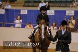 15R12_04830 thumbnail