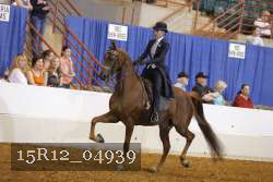 15R12_04939 thumbnail