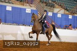 15R12_04992 thumbnail