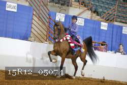 15R12_05074 thumbnail