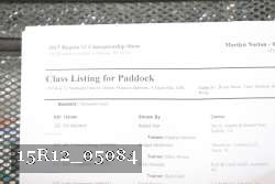 15R12_05084 thumbnail
