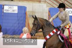 15R12_05340 thumbnail