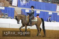 15R12_05460 thumbnail
