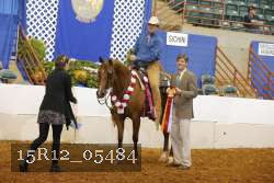 15R12_05484 thumbnail