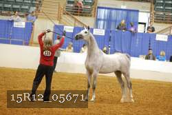 15R12_05671 thumbnail