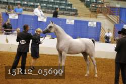 15R12_05690 thumbnail