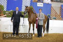 15R12_05733 thumbnail