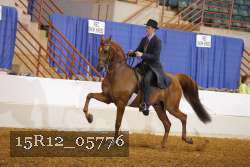 15R12_05776 thumbnail