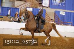 15R12_05782 thumbnail