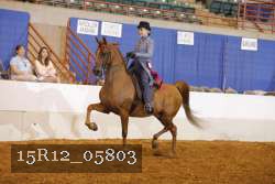 15R12_05803 thumbnail