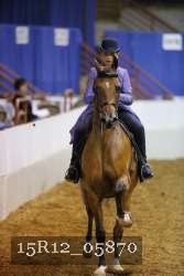 15R12_05870 thumbnail