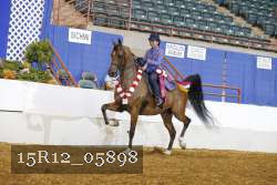 15R12_05898 thumbnail