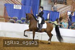 15R12_05923 thumbnail