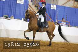 15R12_05926 thumbnail