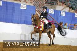 15R12_05955 thumbnail