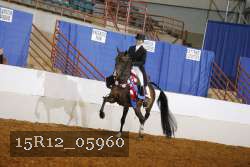 15R12_05960 thumbnail