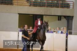 15R12_06277 thumbnail