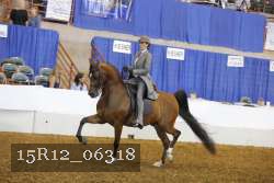15R12_06318 thumbnail