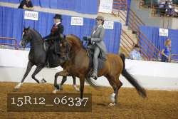 15R12_06337 thumbnail