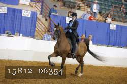 15R12_06354 thumbnail