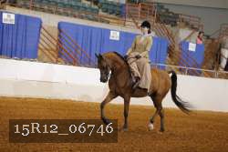 15R12_06746 thumbnail