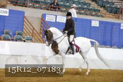 15R12_07183 thumbnail