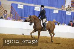 15R12_07258 thumbnail