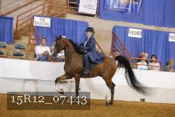 15R12_07443 thumbnail