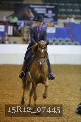 15R12_07445 thumbnail