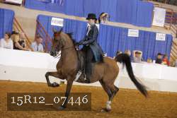 15R12_07446 thumbnail