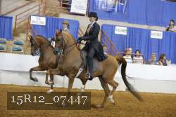 15R12_07447 thumbnail