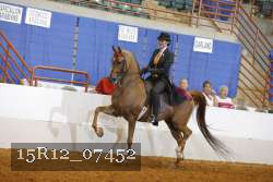 15R12_07452 thumbnail