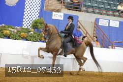 15R12_07453 thumbnail