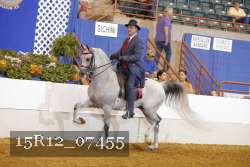 15R12_07455 thumbnail