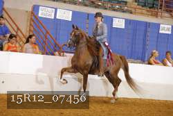 15R12_07456 thumbnail