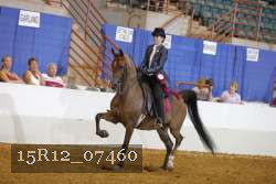 15R12_07460 thumbnail