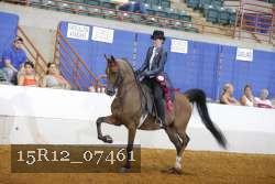 15R12_07461 thumbnail