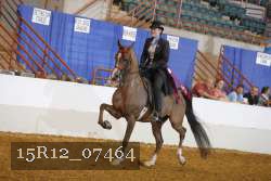 15R12_07464 thumbnail