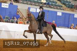 15R12_07465 thumbnail