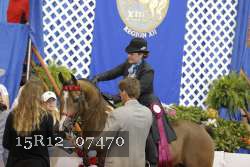 15R12_07470 thumbnail