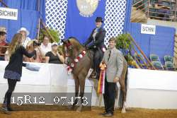 15R12_07473 thumbnail